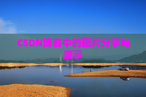 CSDN博客中的图片分享与展示